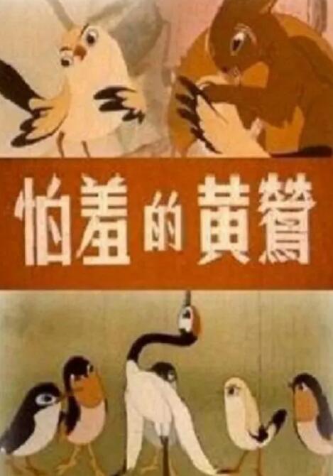 96av视频